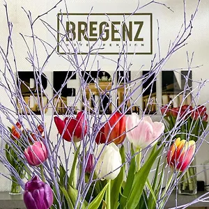 Bregenz Bed and breakfast